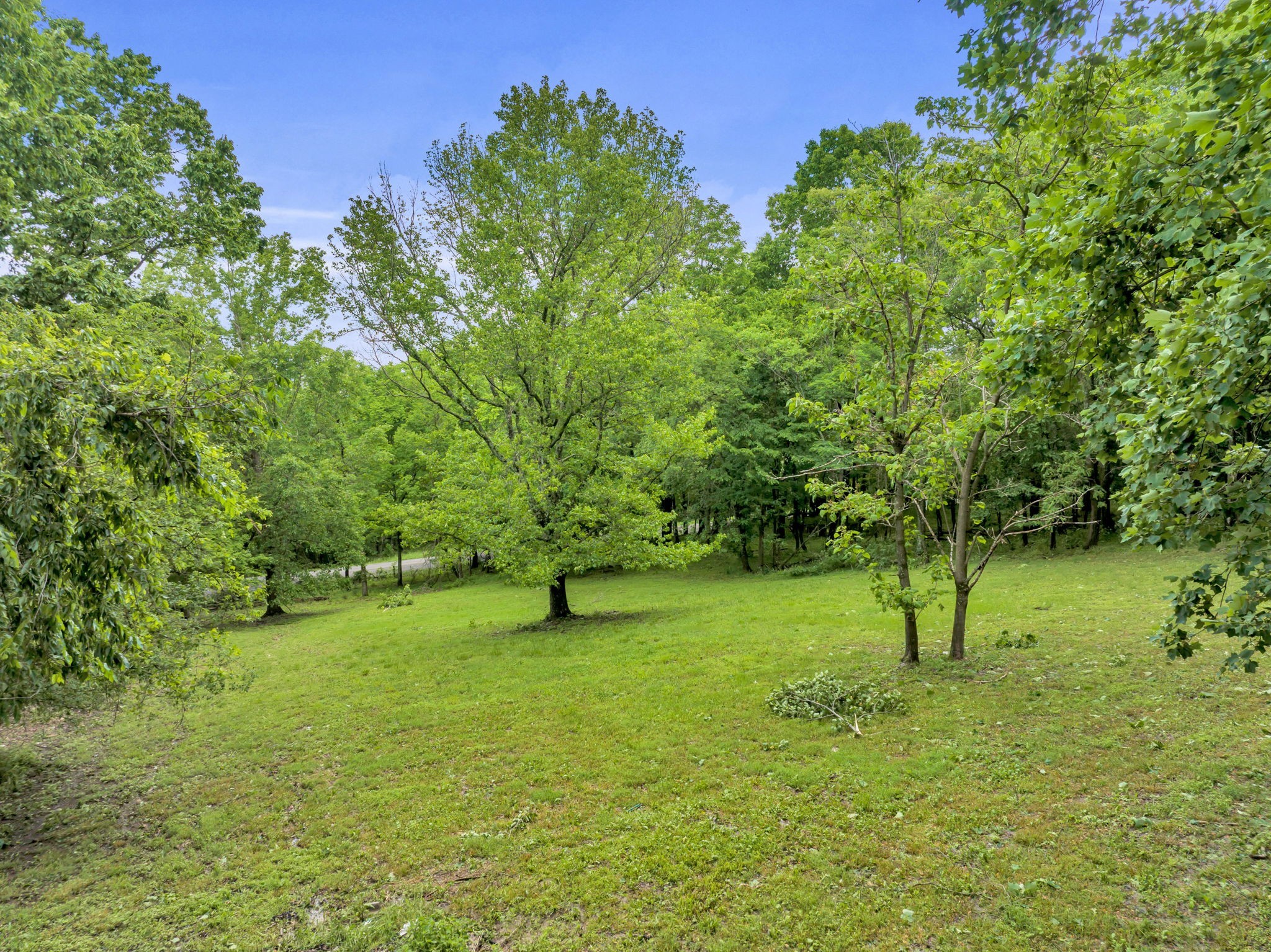 1670 Elmore Road Eagleville, TN 37060 - Photo 42 of 63 Gallery Image 42