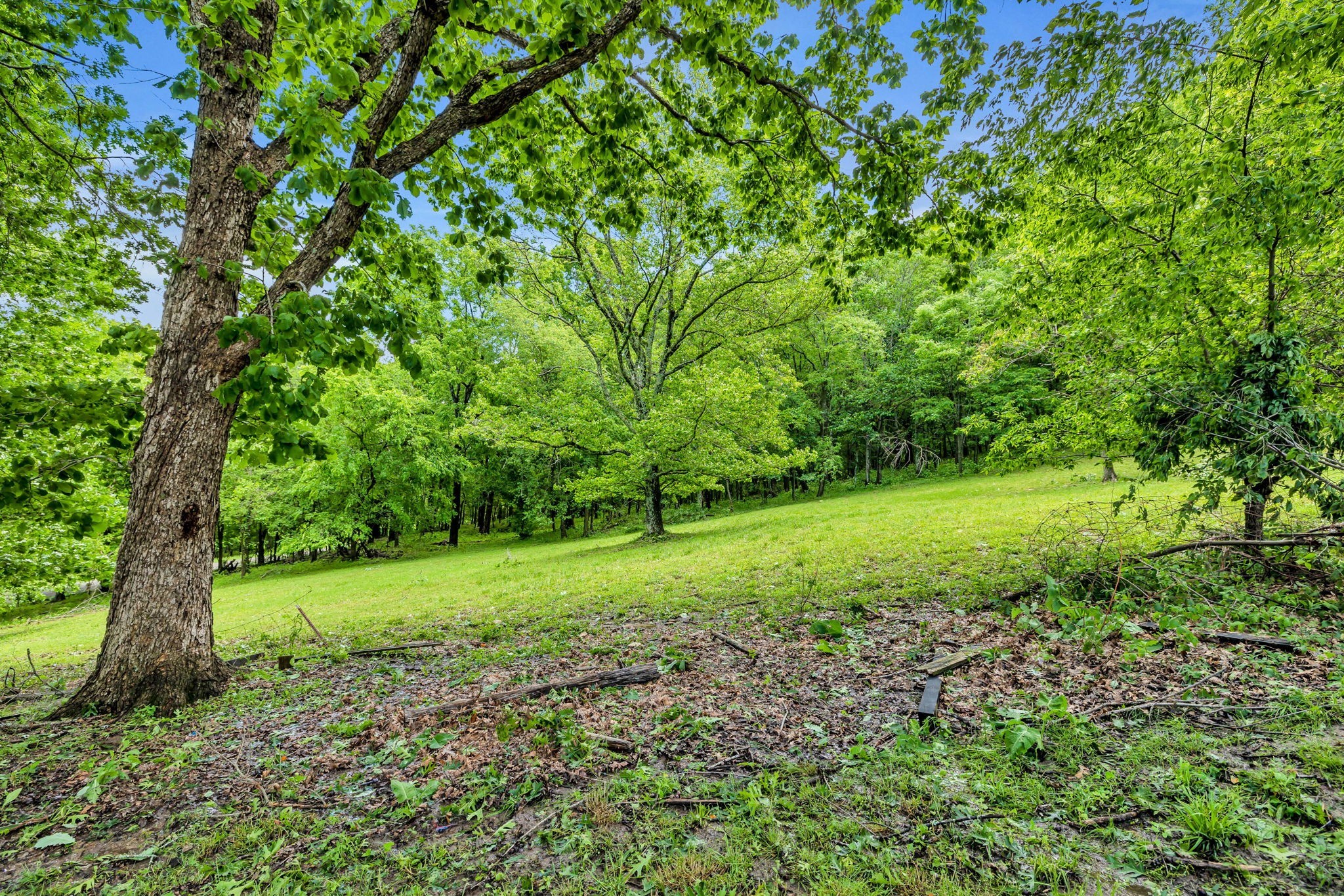 1670 Elmore Road Eagleville, TN 37060 - Photo 52 of 63 Gallery Image 52