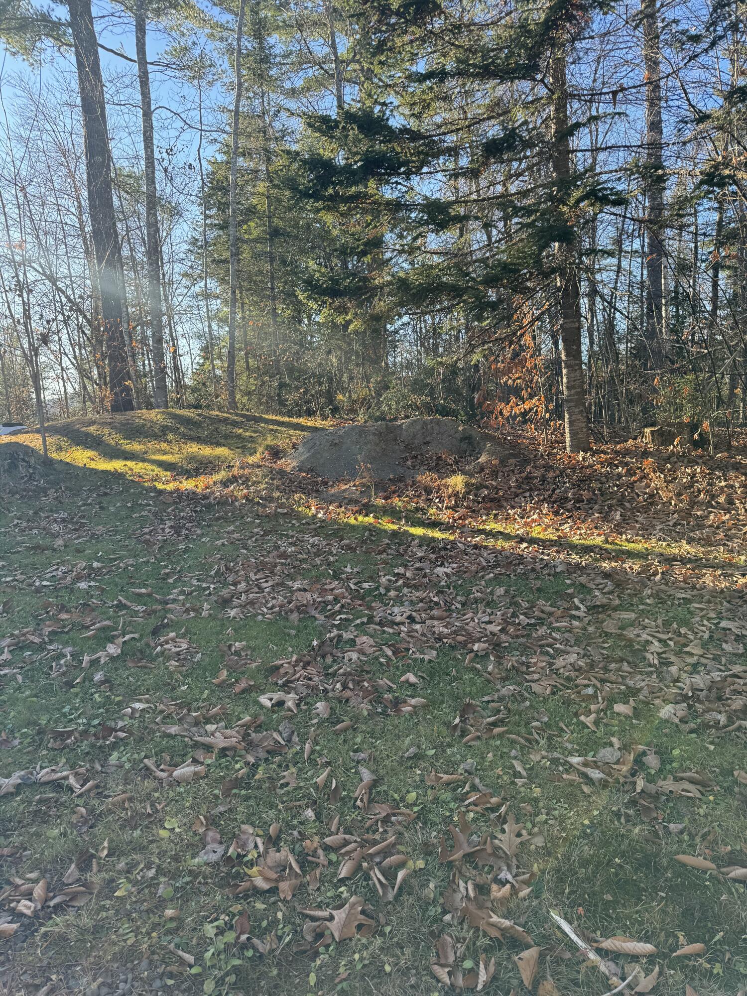 49 North Shore Road Abbot, ME 04406 - Photo 58 of 67