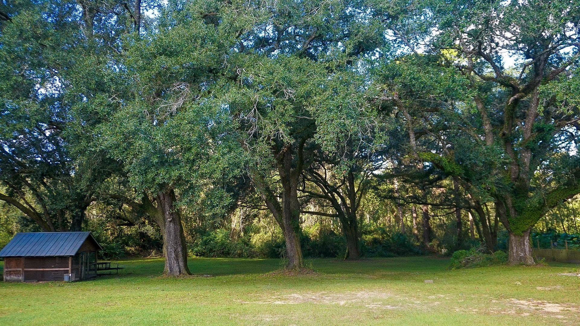 9734 Sherman Road Foley, AL 36535 - Photo 35 of 35