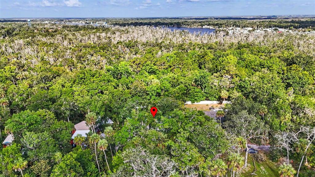 4586 Flambeau Loop Homosassa, FL 34448 - Photo 67 of 80