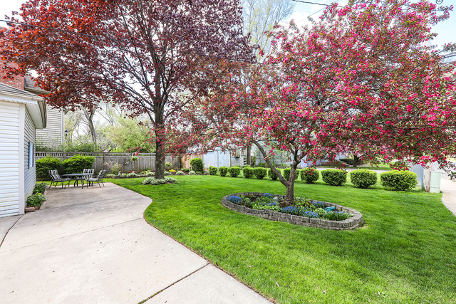 110 West 12th Avenue Naperville, IL 60563 - Photo 18 of 20 a garden with trees in the background