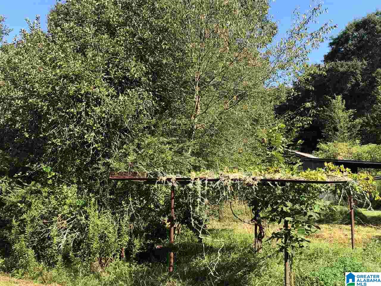 2931 New Liberty Road Wellington, AL 36279 - Photo 20 of 30