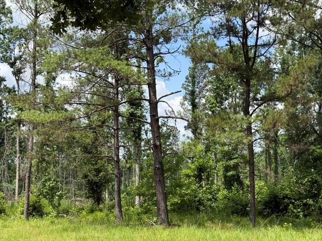 0 Marsalis Road Arcadia, LA 71001 - Photo 11 of 16
