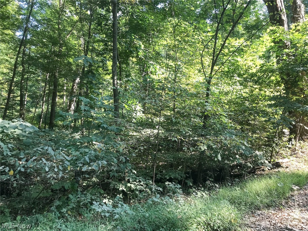 16487 Flint Ridge Road Southeast Heath, OH 43056 - Photo 18 of 35