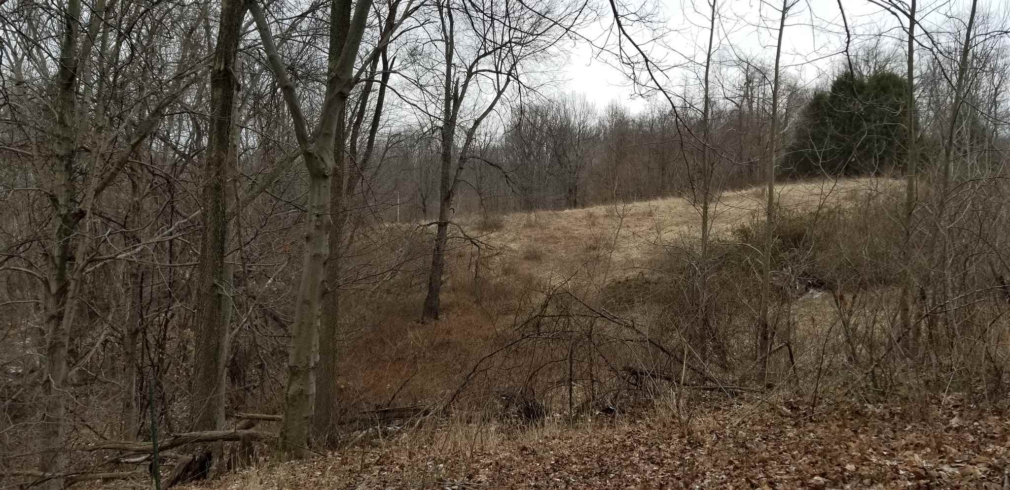 1269 East Kelly Branch Road Bloomfield, IN 47424 - Photo 21 of 24
