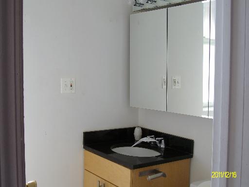 5203 South Calumet Avenue, Unit 3D Chicago, IL 60615 - Photo 6 of 8 a kitchen with a sink and cabinets