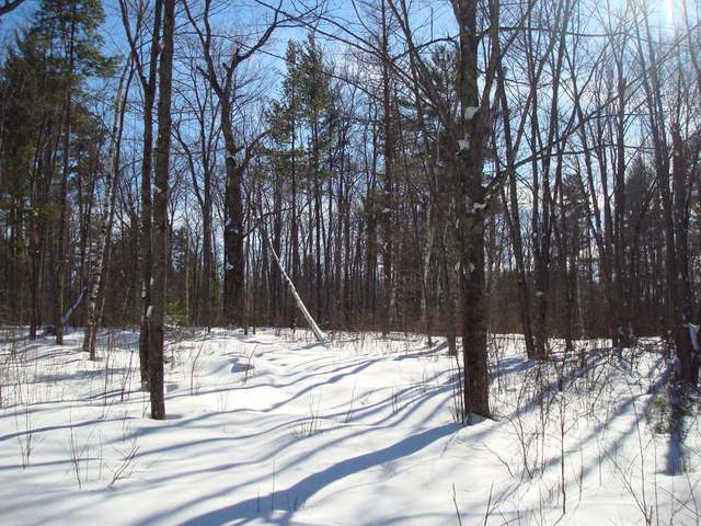 4 Heron Road Lake Tomahawk, WI 54539 - Photo 1 of 4 Gallery Image 1
