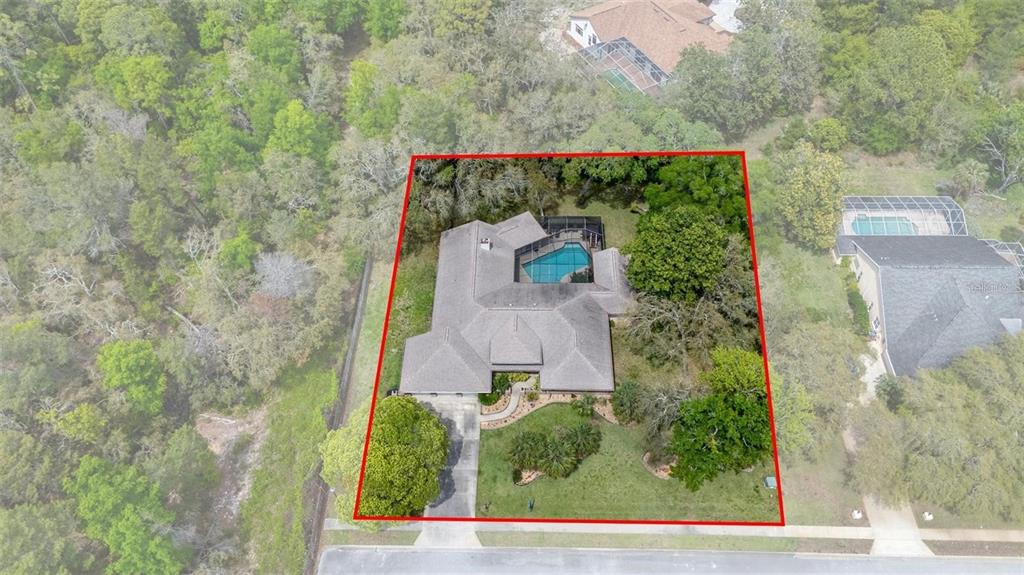 6475 Laurel Oak Drive Spring Hill, FL 34607 - Photo 3 of 37