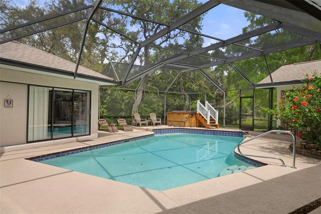 6475 Laurel Oak Drive Spring Hill, FL 34607 - Photo 35 of 37