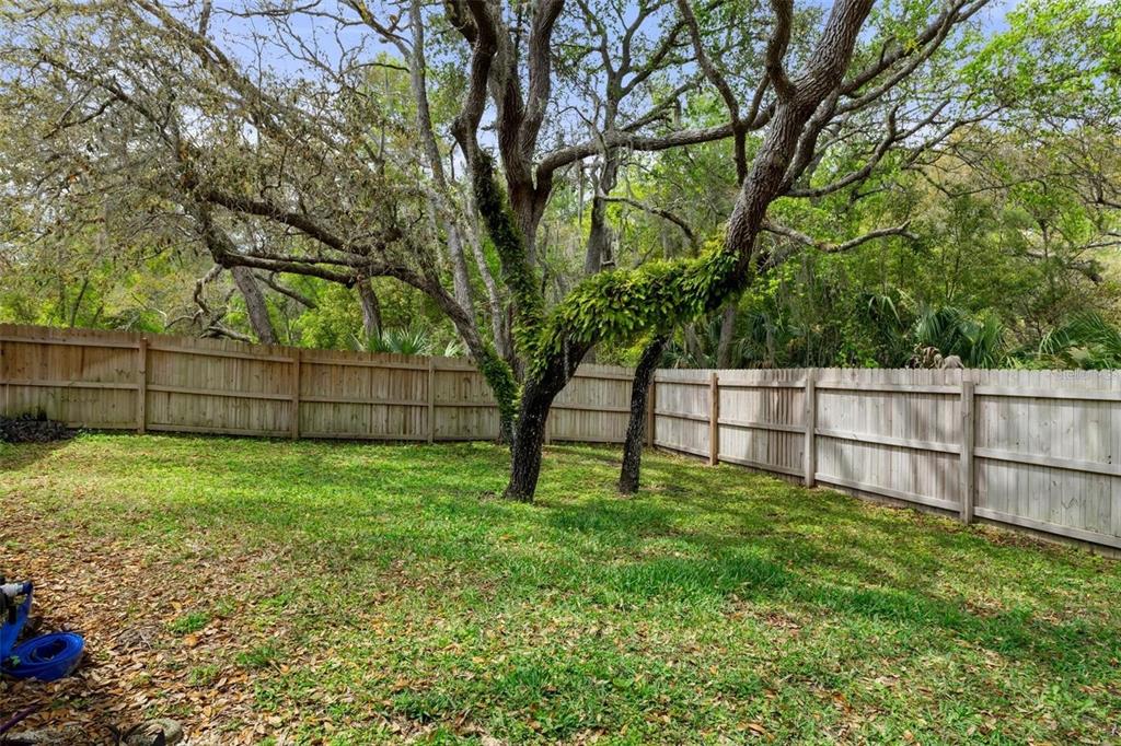 6475 Laurel Oak Drive Spring Hill, FL 34607 - Photo 36 of 37