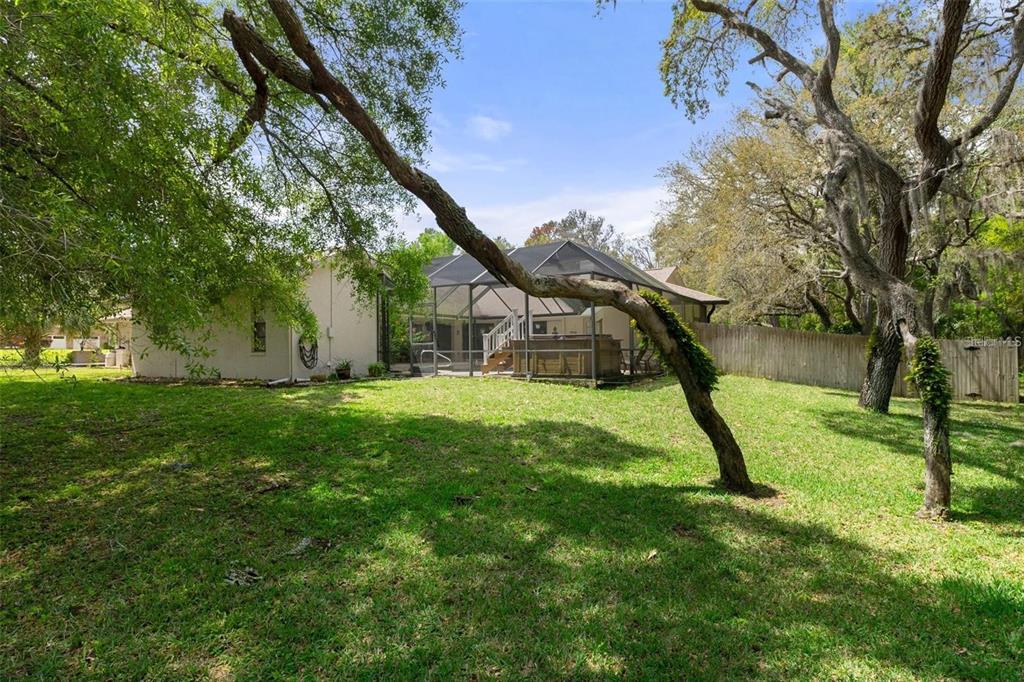 6475 Laurel Oak Drive Spring Hill, FL 34607 - Photo 37 of 37