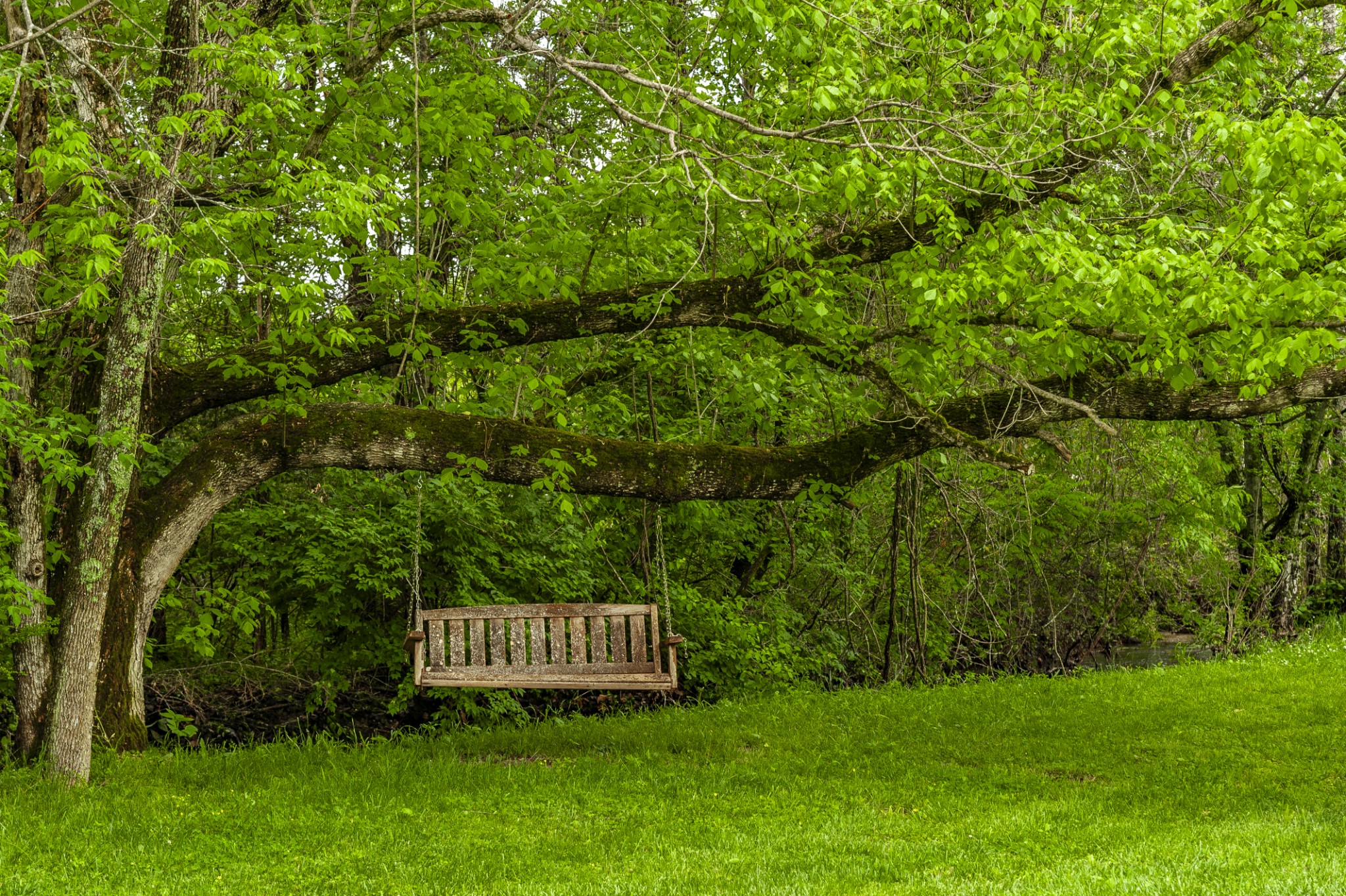 7255 Lebanon Road Lebanon, TN 37087 - Photo 16 of 55 a view of a bench in a garden
