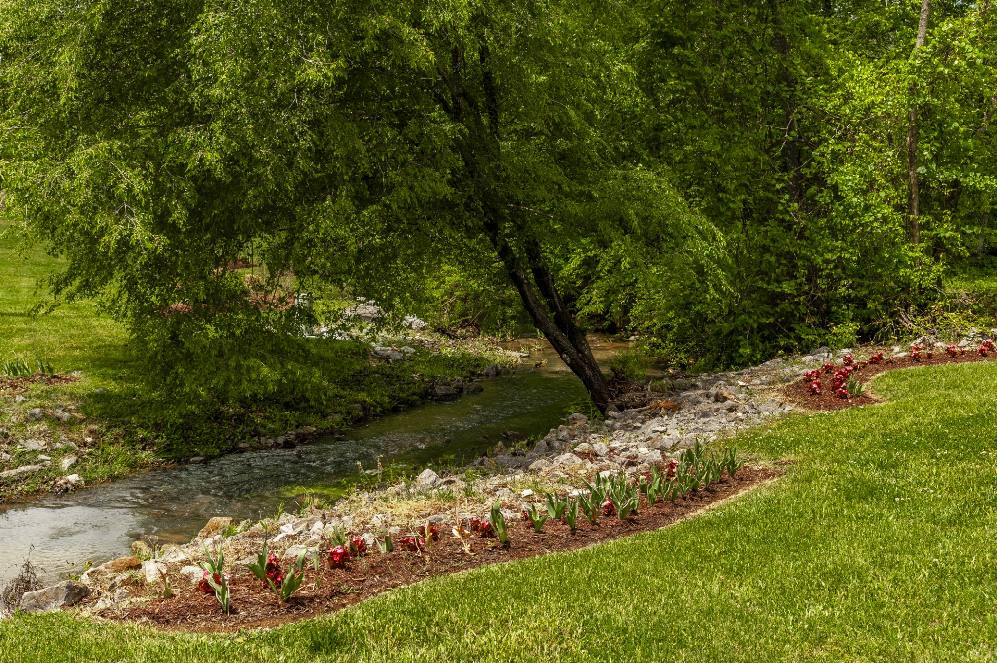 7255 Lebanon Road Lebanon, TN 37087 - Photo 19 of 55 a view of a garden with a tree