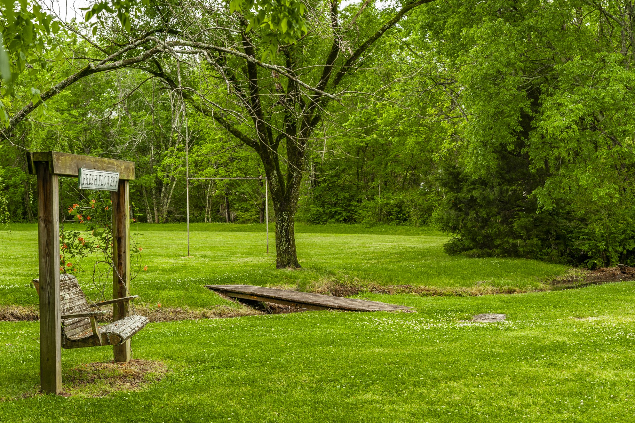 7255 Lebanon Road Lebanon, TN 37087 - Photo 7 of 55