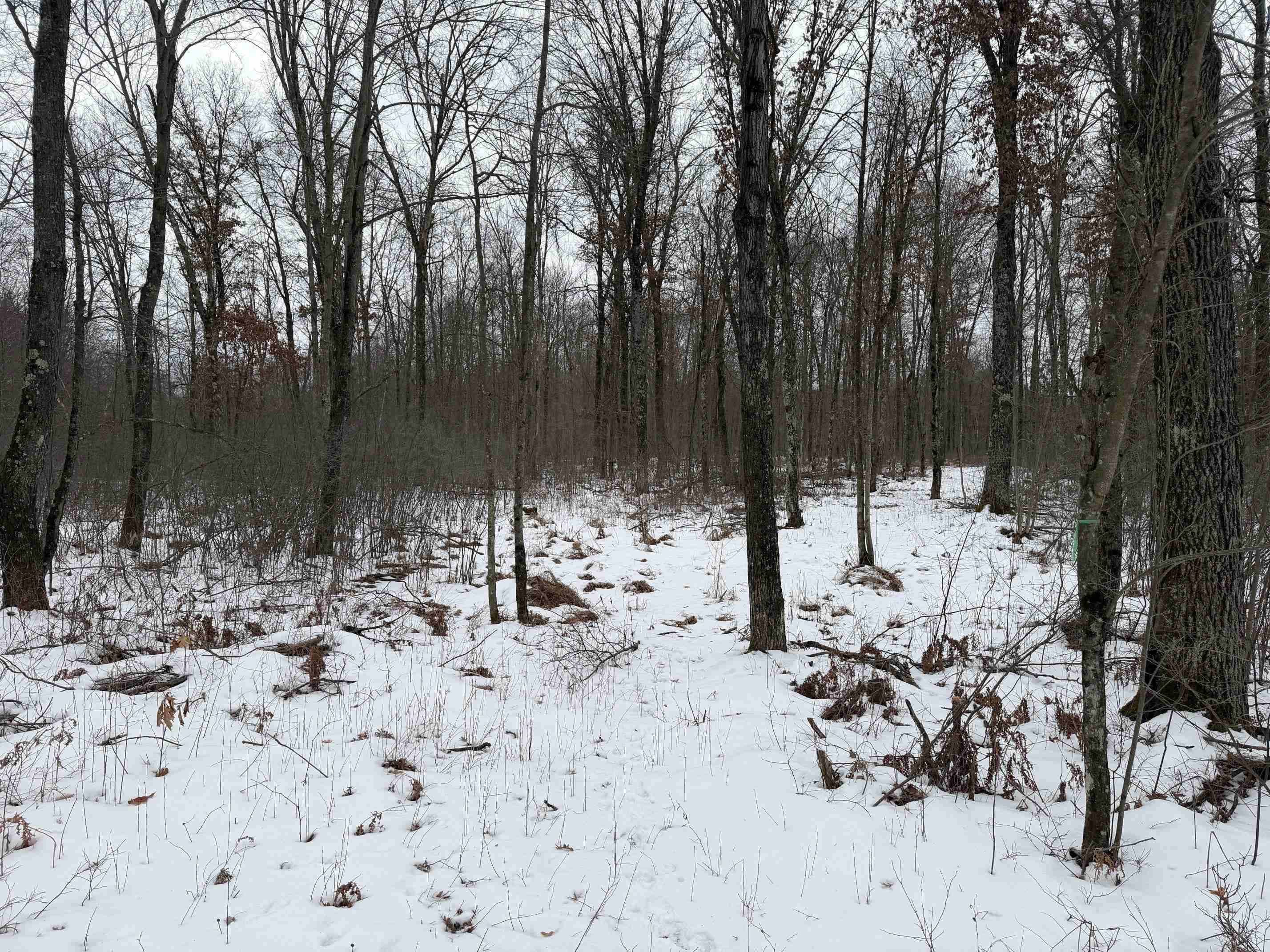 W6881 12th Street Necedah, WI 54646 - Photo 12 of 45