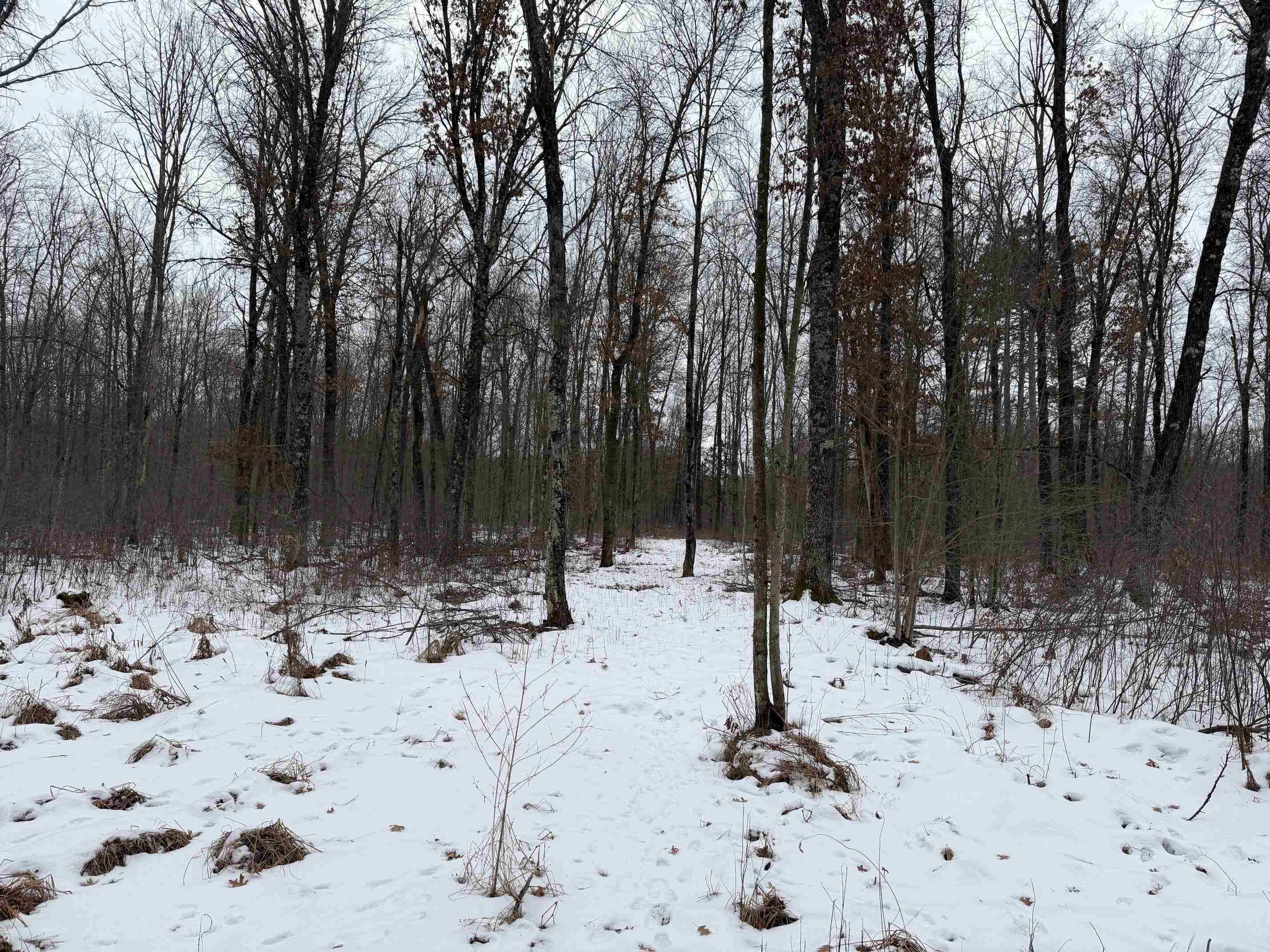 W6881 12th Street Necedah, WI 54646 - Photo 13 of 45