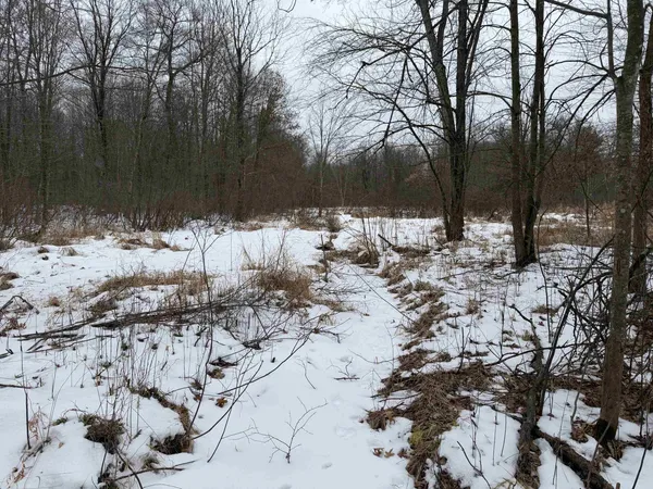 $150,000 | W6881 12th Street, Necedah, WI 54646