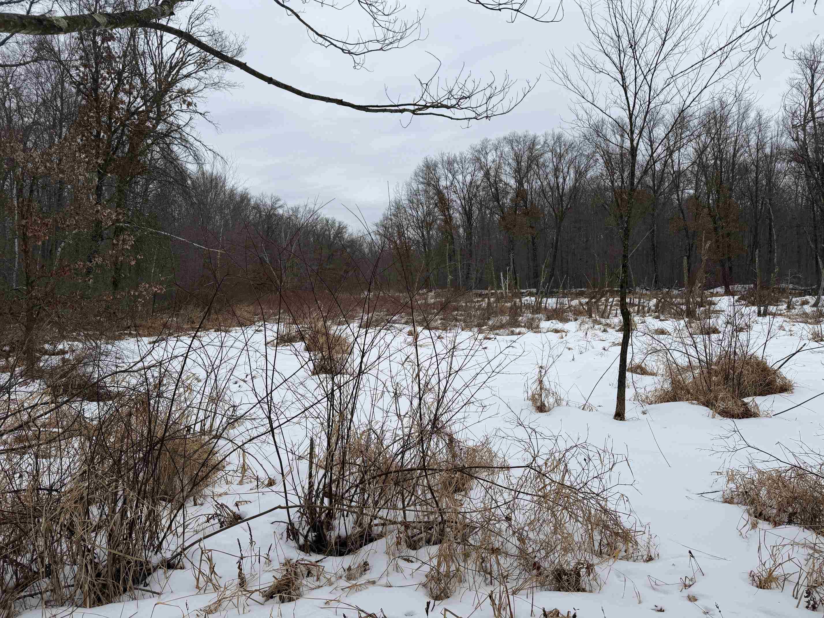 W6881 12th Street Necedah, WI 54646 - Photo 20 of 45
