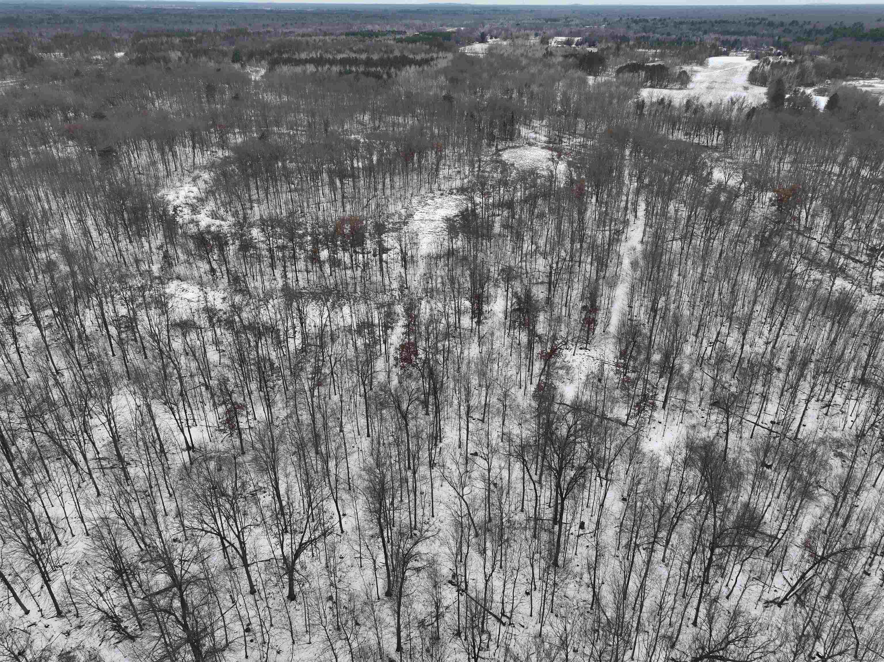 W6881 12th Street Necedah, WI 54646 - Photo 2 of 45