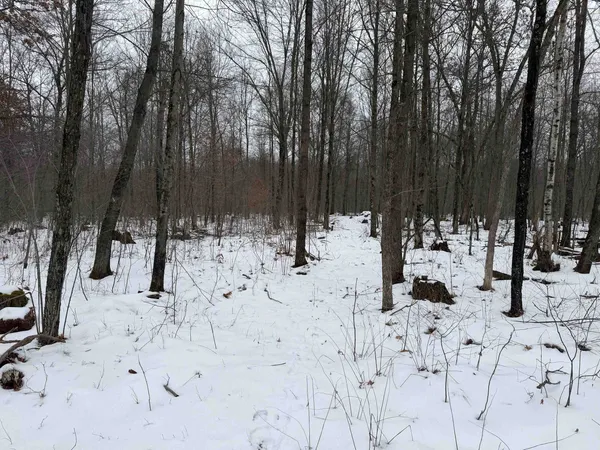 $150,000 | W6881 12th Street, Necedah, WI 54646