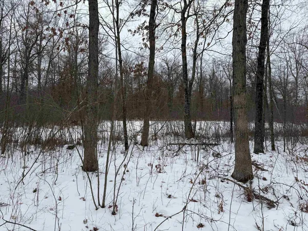 $150,000 | W6881 12th Street, Necedah, WI 54646