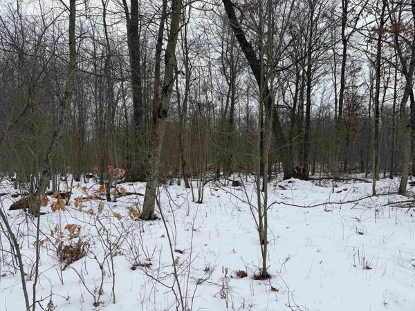 $150,000 | W6881 12th Street, Necedah, WI 54646