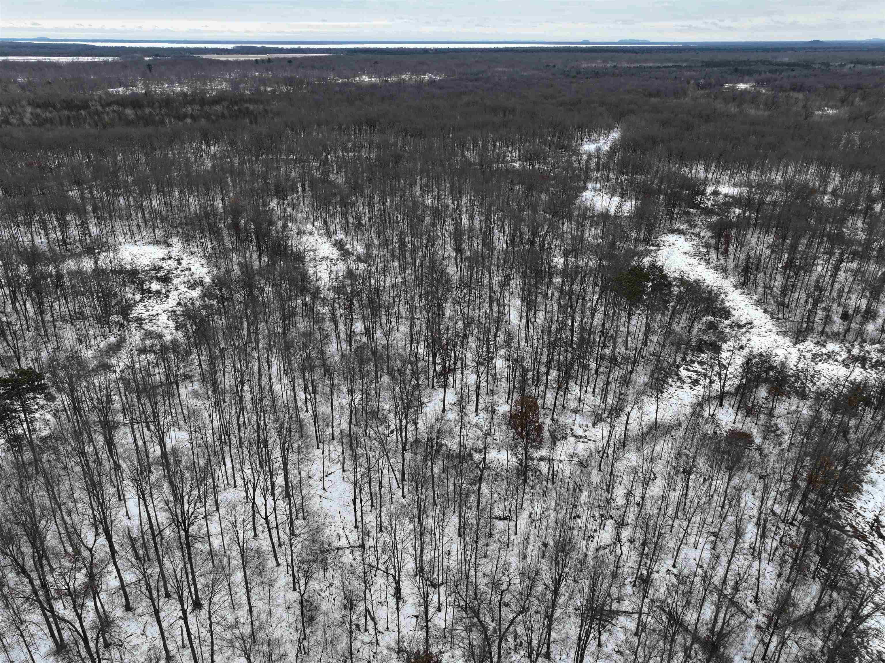 W6881 12th Street Necedah, WI 54646 - Photo 33 of 45