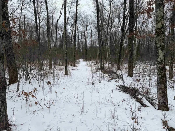 $150,000 | W6881 12th Street, Necedah, WI 54646