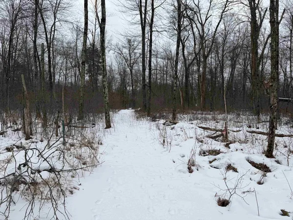 $150,000 | W6881 12th Street, Necedah, WI 54646