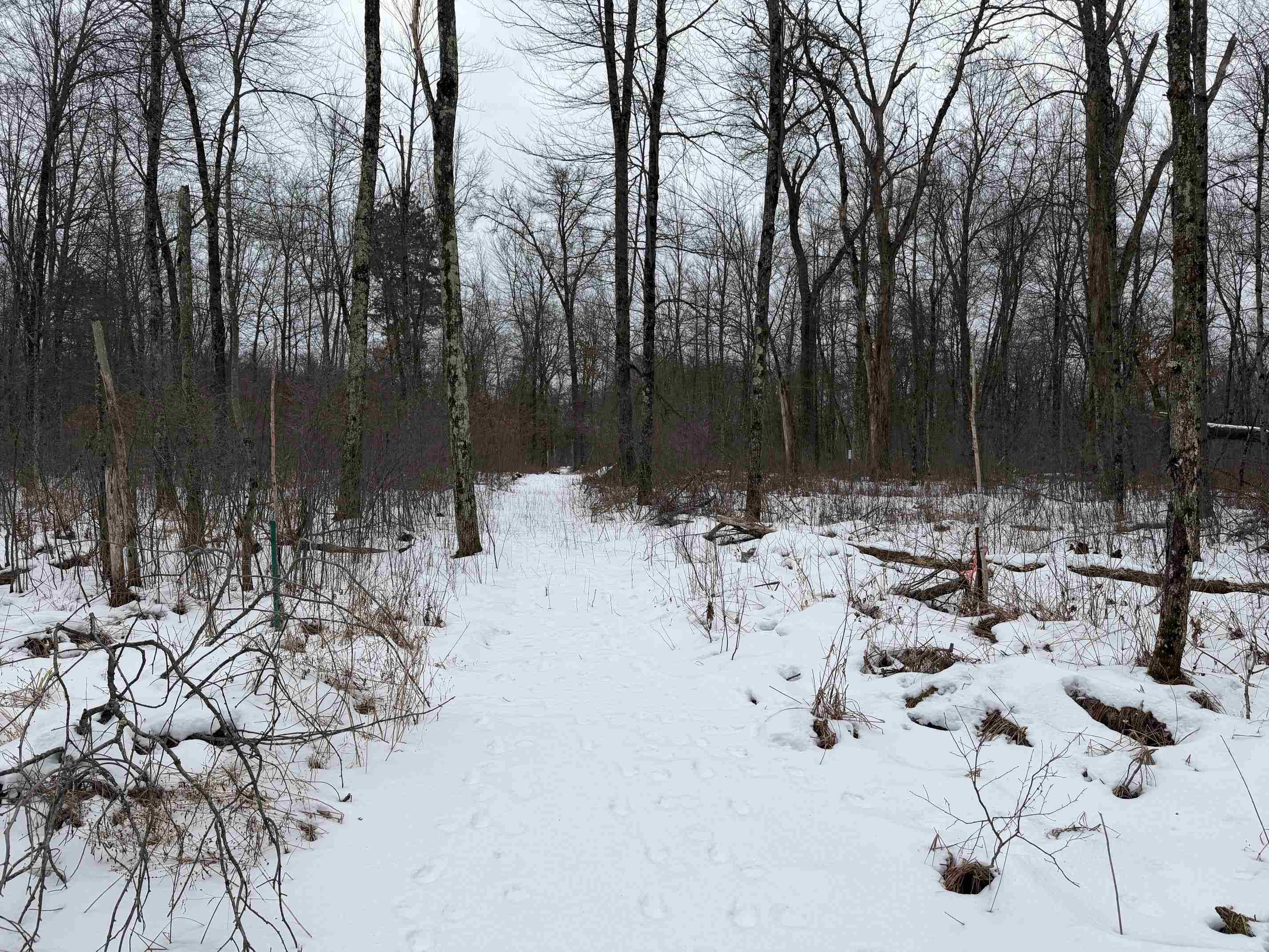 W6881 12th Street Necedah, WI 54646 - Photo 5 of 45