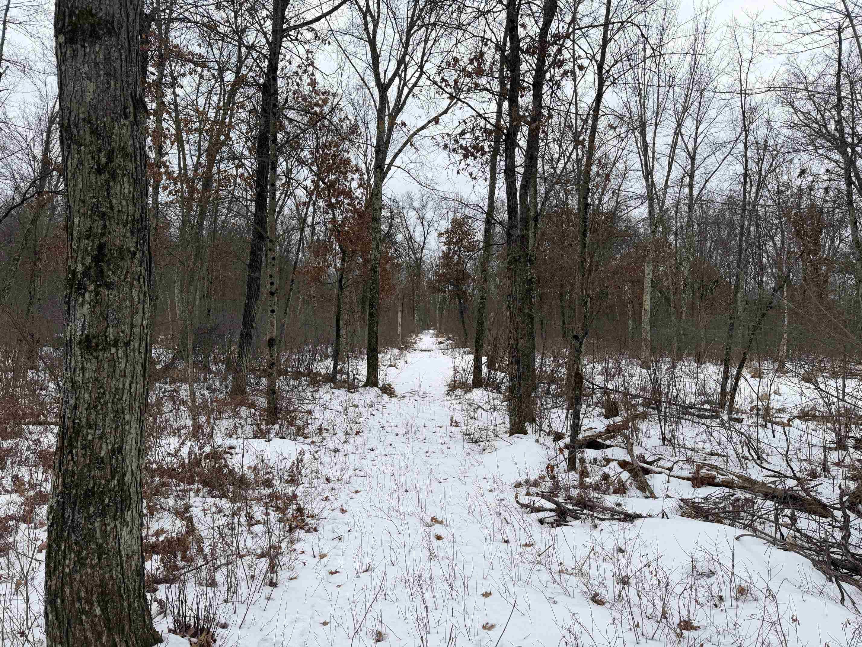 W6881 12th Street Necedah, WI 54646 - Photo 6 of 45