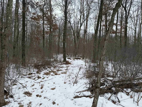 $150,000 | W6881 12th Street, Necedah, WI 54646