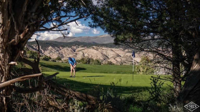 76 Lynx Circle Gypsum, CO 81637 - Photo 16 of 17 a garden view