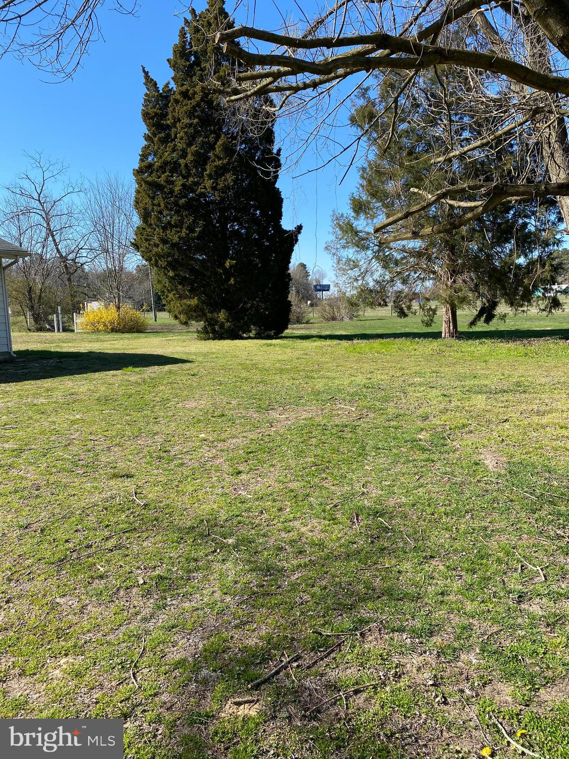 25539 Thomas Street Milton, DE 19968 - Photo 6 of 24 .72 acre