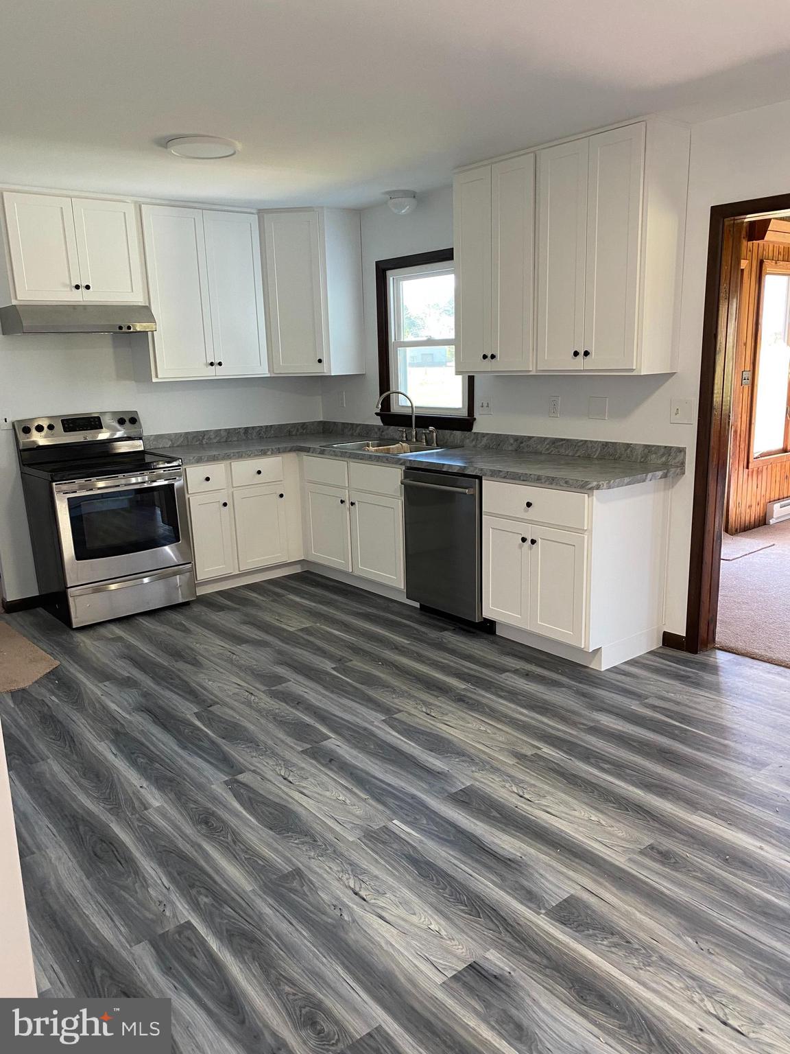 25539 Thomas Street Milton, DE 19968 - Photo 9 of 24 newly remodeled kitchen