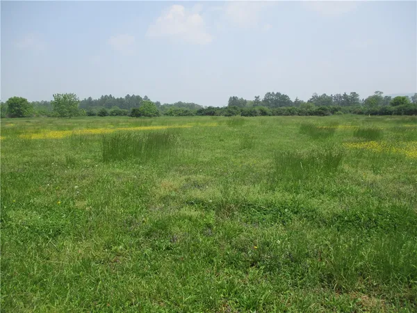 $99,900 | 180 Hibbard Road, Big Flats, NY 14845