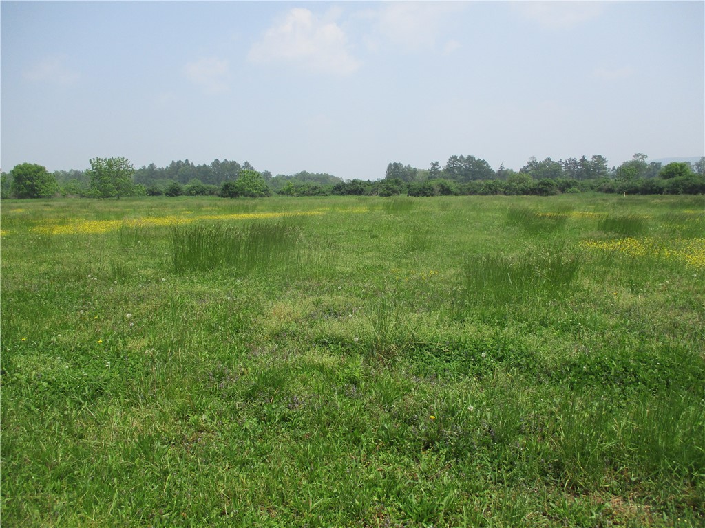 180 Hibbard Road Big Flats, NY 14845 - Photo 4 of 7