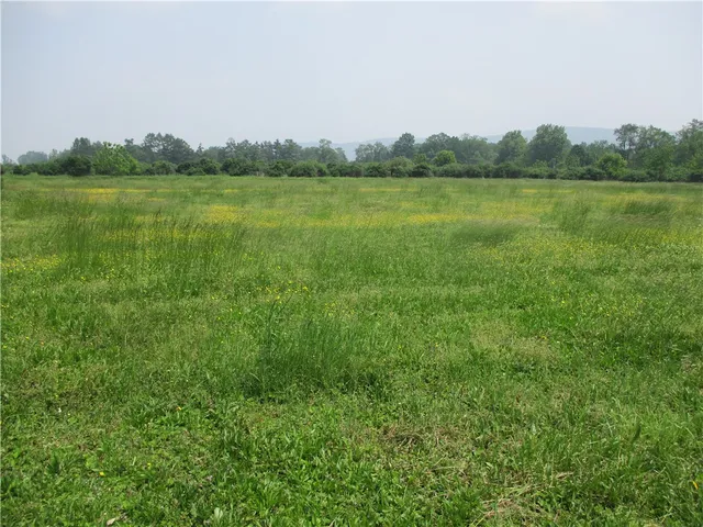 $99,900 | 180 Hibbard Road, Big Flats, NY 14845