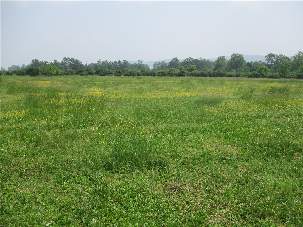 180 Hibbard Road Big Flats, NY 14845 - Photo 6 of 7