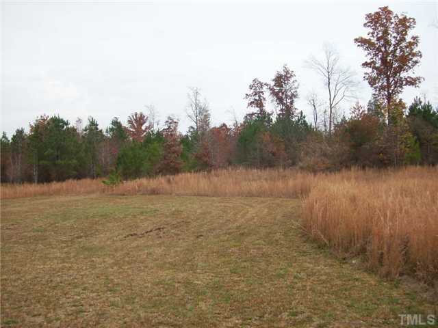 1202 Adams Mountain Road Stem, NC 27581 - Photo 3 of 14 Photo 3