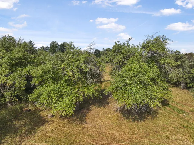 $356,000 | 11470 South 39 Road, Cadillac, MI 49601