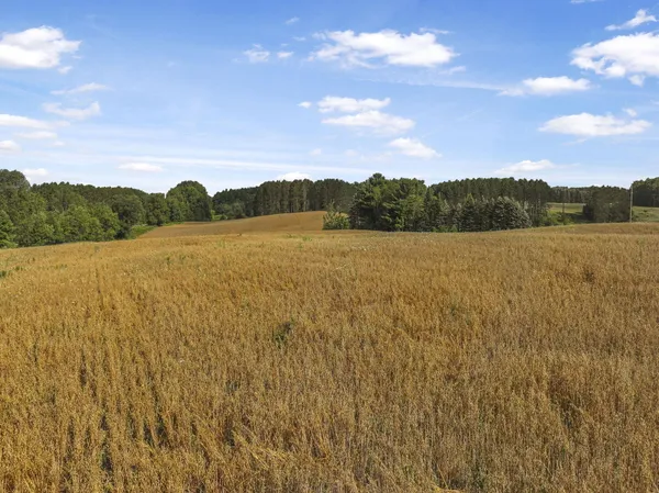 $300,000 | 11470 South 39 Road, Cadillac, MI 49601