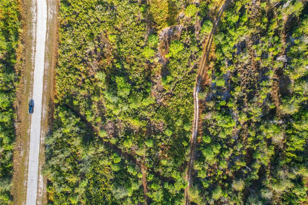 81 Meadow Lark Boulevard Frostproof, FL 33843 - Photo 15 of 19 a view of a tree
