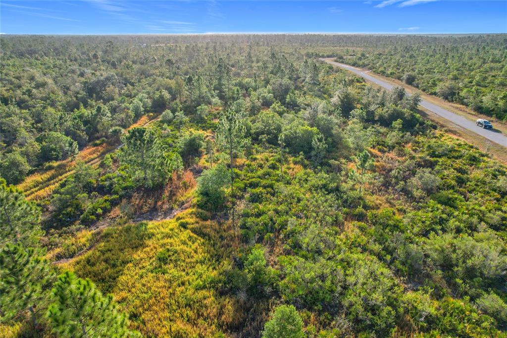 81 Meadow Lark Boulevard Frostproof, FL 33843 - Photo 16 of 19 a view of a yard with an outdoor space