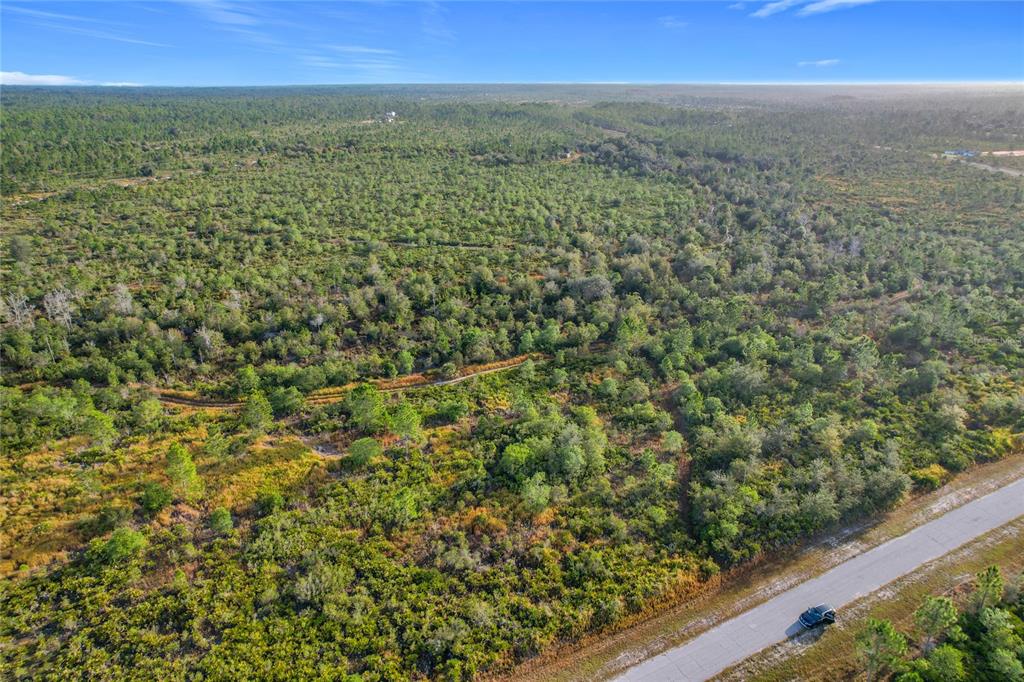 81 Meadow Lark Boulevard Frostproof, FL 33843 - Photo 5 of 19 a view of a city with lush green forest