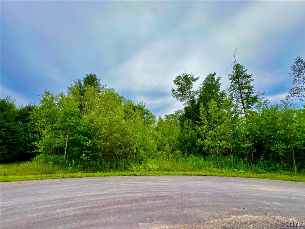 LOT 9 FOREST Rdg Dr
