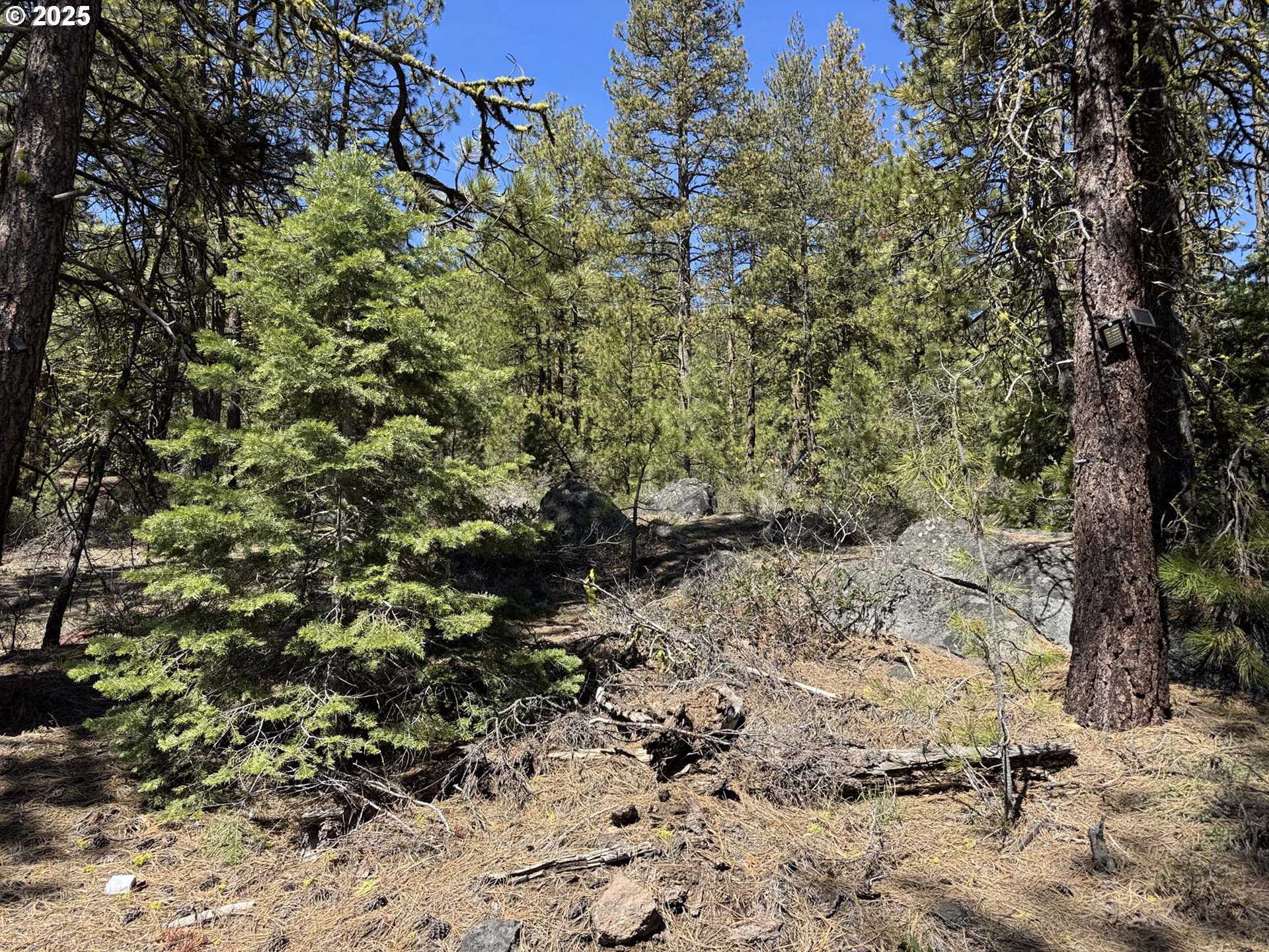 Horned Owl Lane Bonanza, OR 97623 - Photo 1 of 44