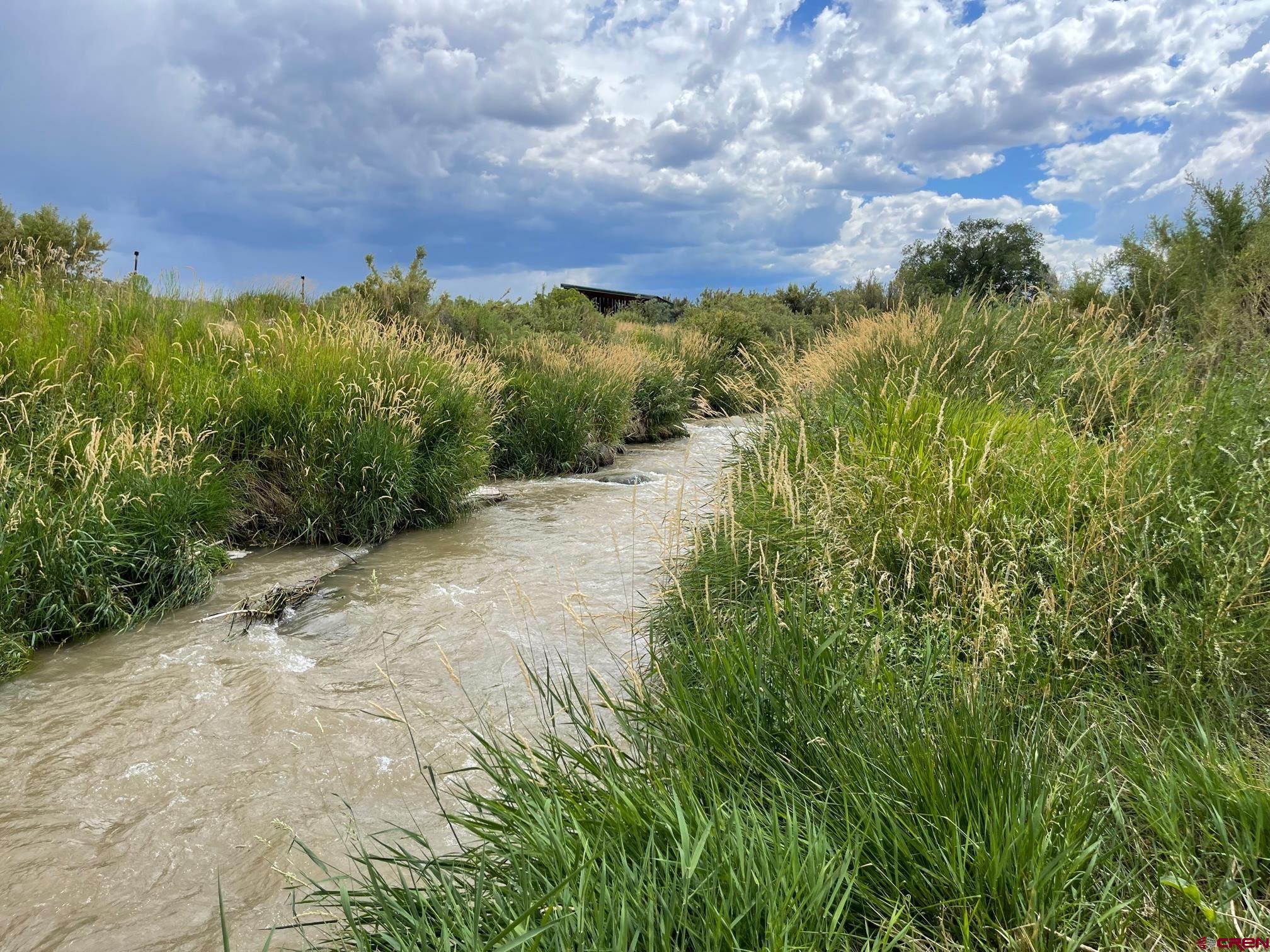 58250 Jig Road Montrose, CO 81403 - Photo 9 of 34 Gallery Image 9