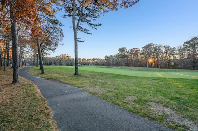 a view of a house with a yard and large tree